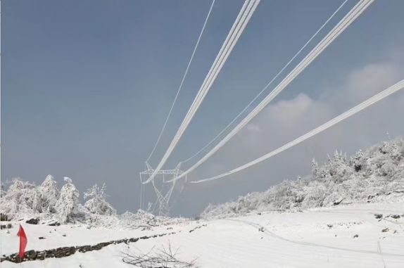 1756431315800680.png 1756431315800680.png